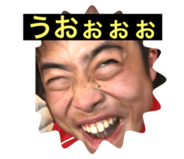 428386648