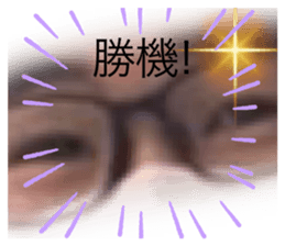 428391967