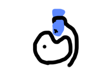 428422590