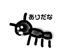 428422594
