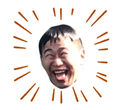 428425510
