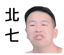 428425514