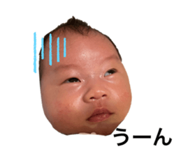 428426006