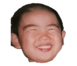 428426311