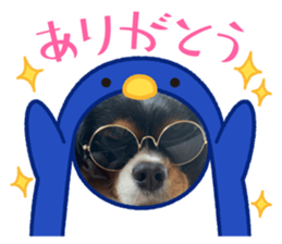 428428574