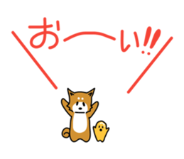 428441494