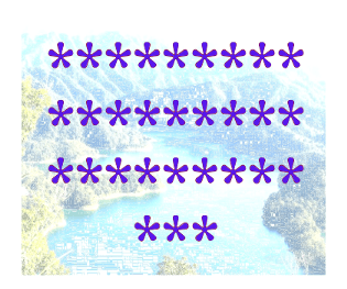 428457294