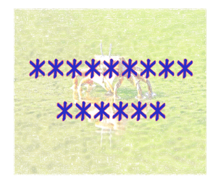 428457301