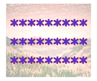 428457306
