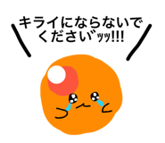 428475956