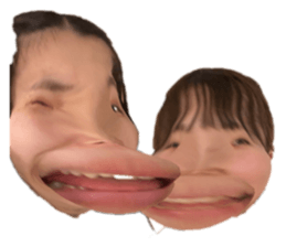 428476237