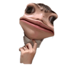 428476240
