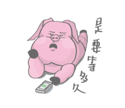 42849523