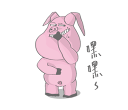 42849537