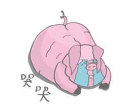 42849540
