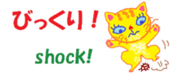 428521884