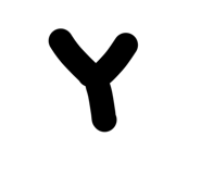 428523090