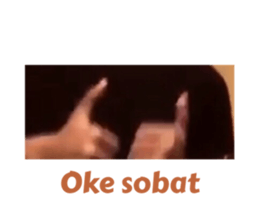 428526311