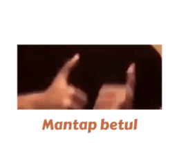 428526312