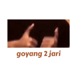 428526314