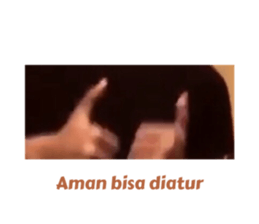 428526317