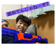 428533216