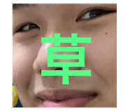 428533217