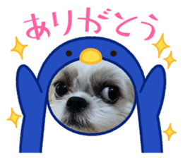 428535966