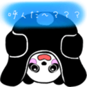 428591362
