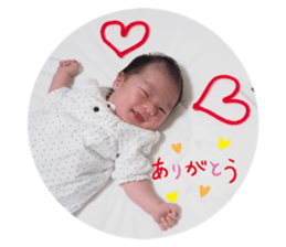 428679188