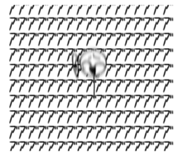 428680213