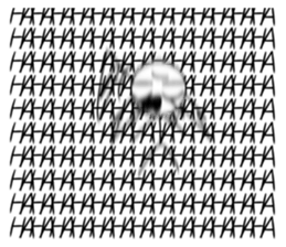 428680216