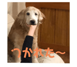 428690713