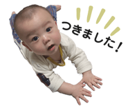 428704743