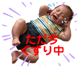 428727227