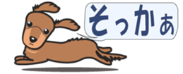 428742361