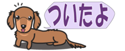 428742371