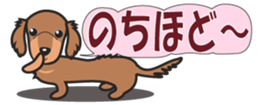 428742376