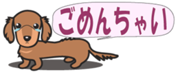 428742382