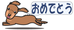 428742385