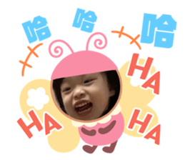 428779356