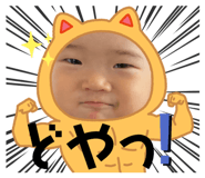 428803164