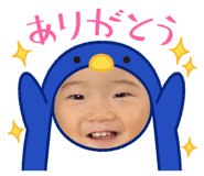 428803166