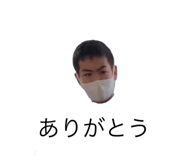 428806054