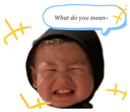 428806093