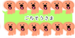 428834485