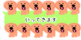428834486