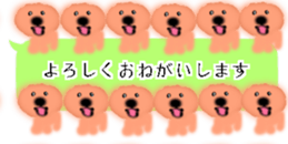 428834490