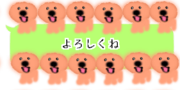 428834491