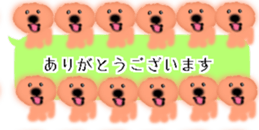 428834493
